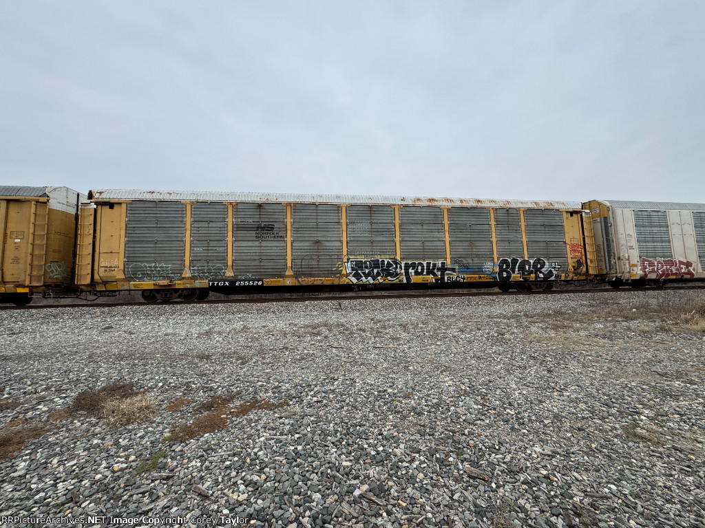 TTGX 255528